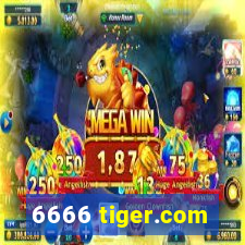 6666 tiger.com